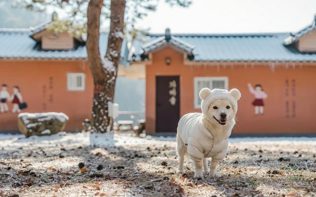 가평 아이리스촌캉스펜션