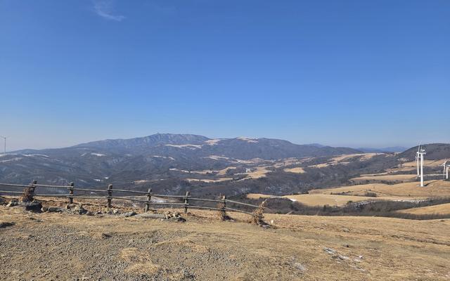 리뷰 대표 이미지