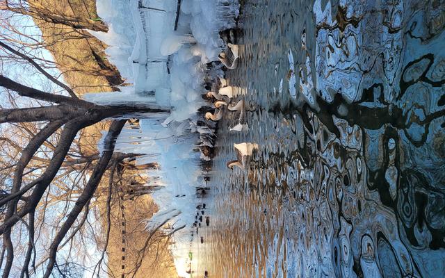 리뷰 대표 이미지