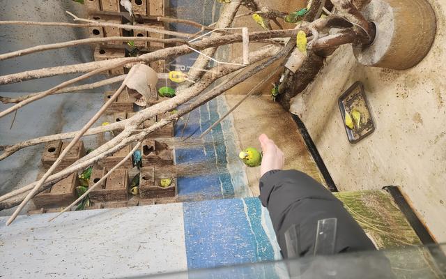 리뷰 대표 이미지