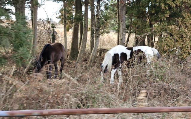 리뷰 대표 이미지