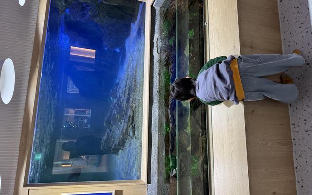 리뷰 대표 이미지