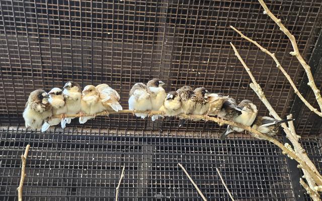 리뷰 대표 이미지