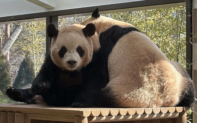 리뷰 대표 이미지