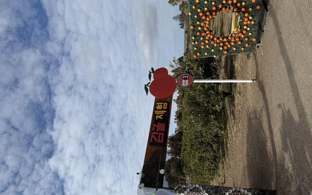 리뷰 대표 이미지