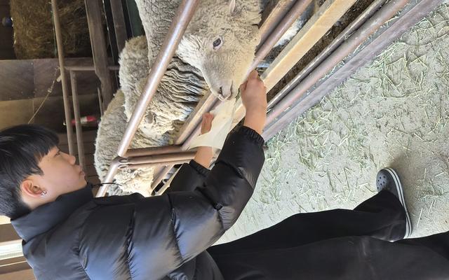 리뷰 대표 이미지