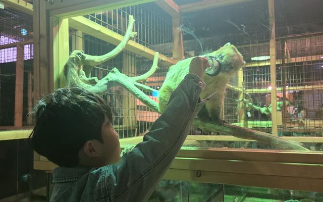 리뷰 대표 이미지