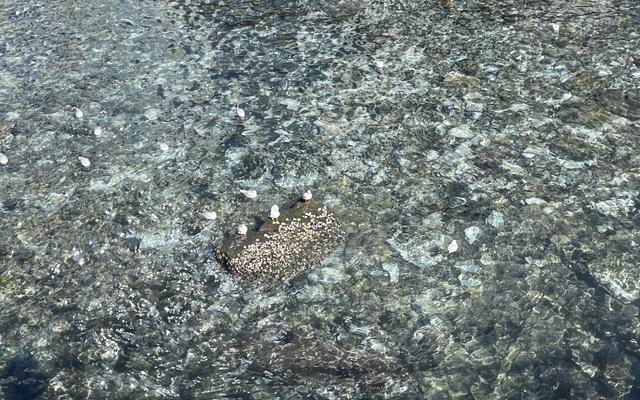 리뷰 대표 이미지