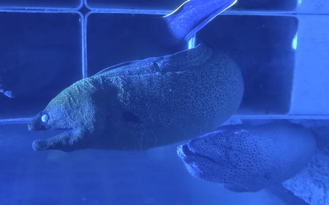 리뷰 대표 이미지