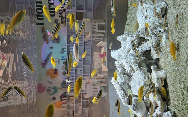 리뷰 대표 이미지