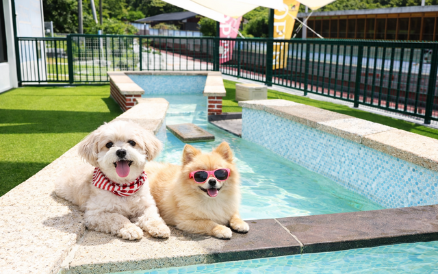 담양 멍스타펜션