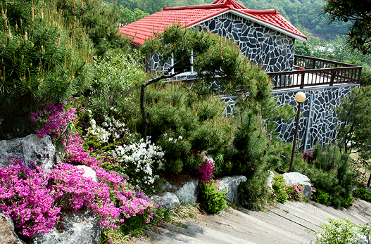 https://yaimg.yanolja.com/v5/2026/02/12/09/698d96a91c0643.34234889.jpg