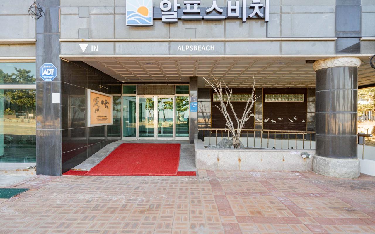 양양 알프스비치 사진