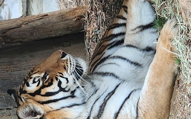 리뷰 대표 이미지