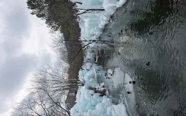 리뷰 대표 이미지