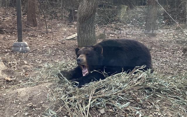 리뷰 대표 이미지