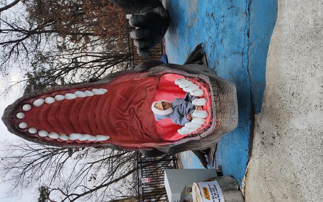 리뷰 대표 이미지