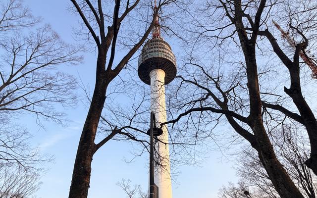 리뷰 대표 이미지