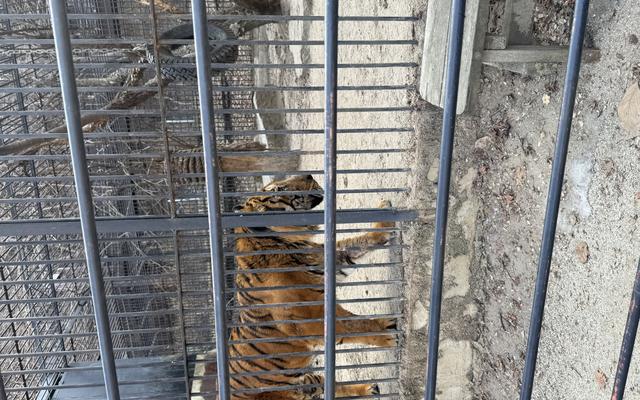 리뷰 대표 이미지