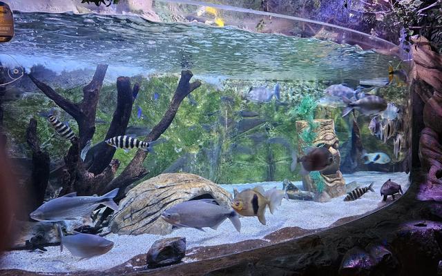 리뷰 대표 이미지