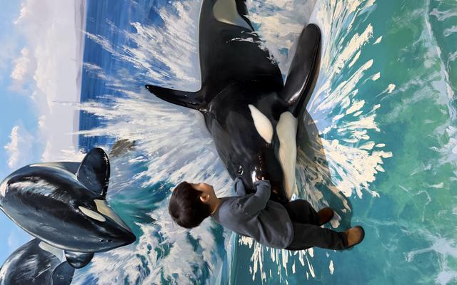 리뷰 대표 이미지