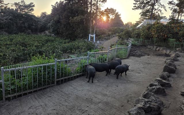 리뷰 대표 이미지