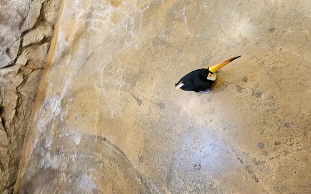 리뷰 대표 이미지