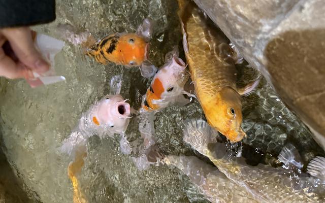 리뷰 대표 이미지