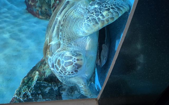 리뷰 대표 이미지