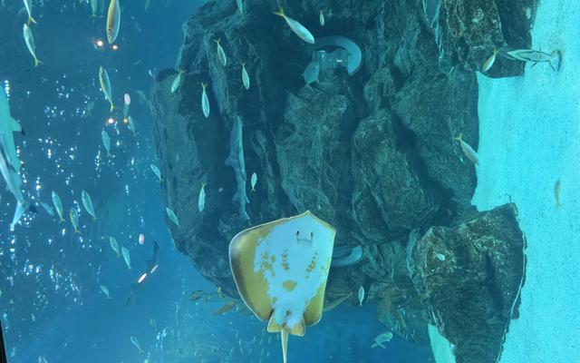 리뷰 대표 이미지