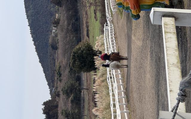 리뷰 대표 이미지