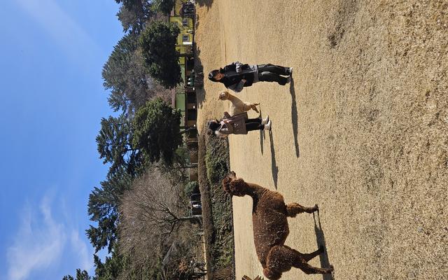 리뷰 대표 이미지