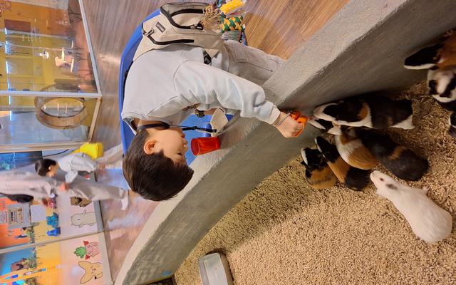 리뷰 대표 이미지