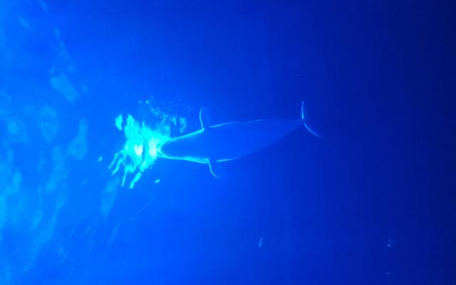 리뷰 대표 이미지