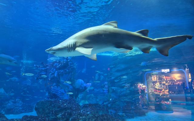 리뷰 대표 이미지