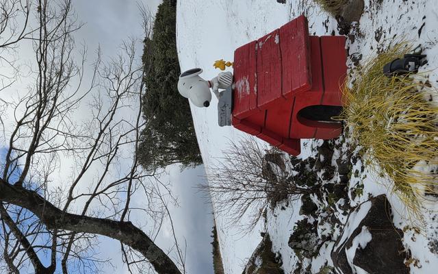 리뷰 대표 이미지