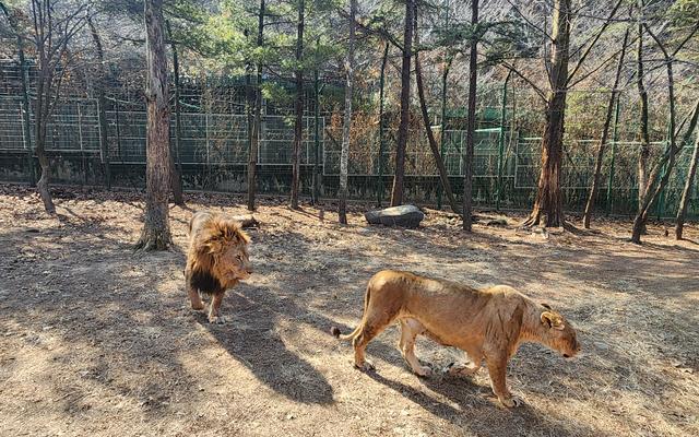 리뷰 대표 이미지