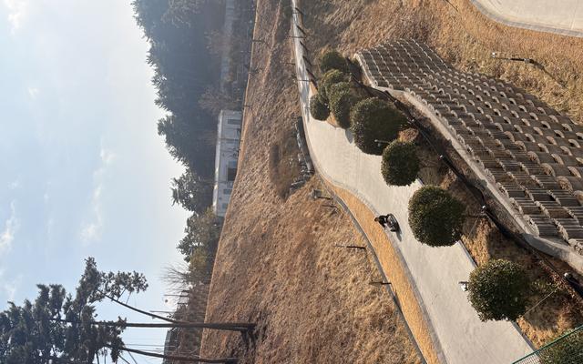 리뷰 대표 이미지