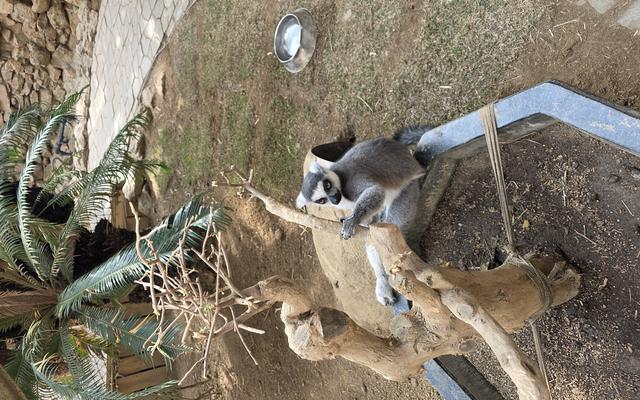 리뷰 대표 이미지