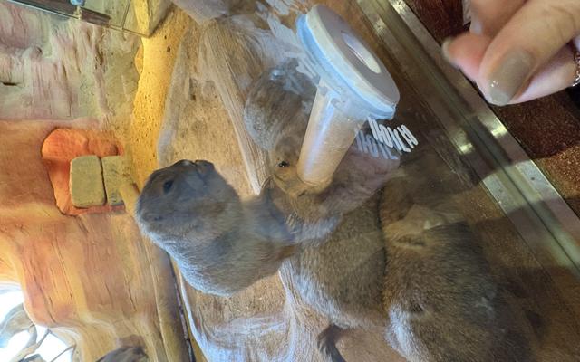 리뷰 대표 이미지