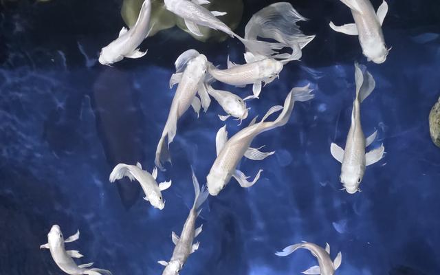 리뷰 대표 이미지