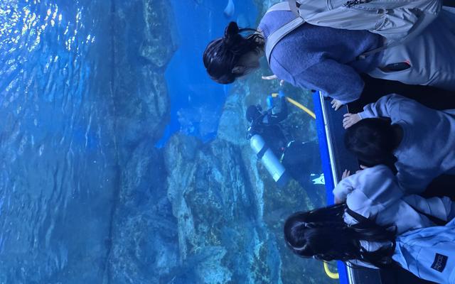 리뷰 대표 이미지