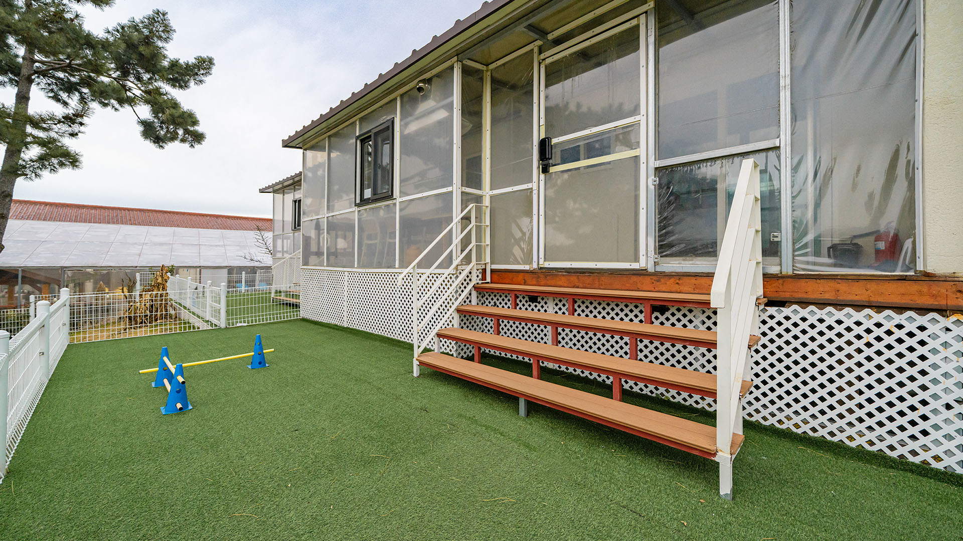 D 502(1마리 무료최대 3마리)