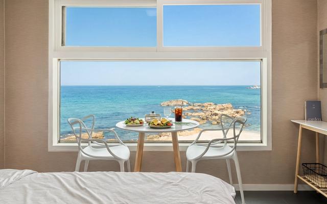 고성 나폴리하우스애견동반펜션