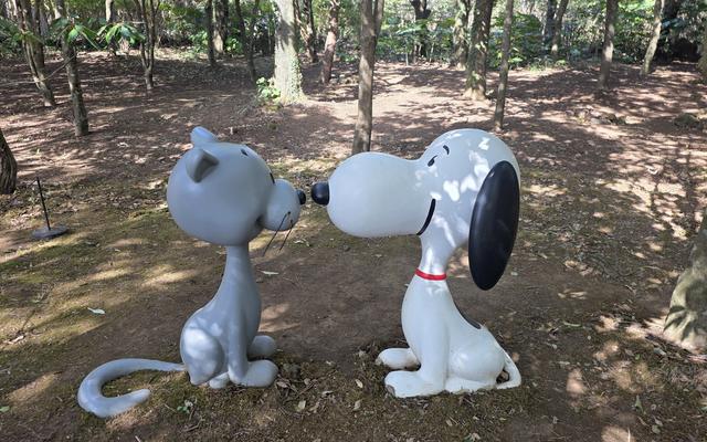 리뷰 대표 이미지