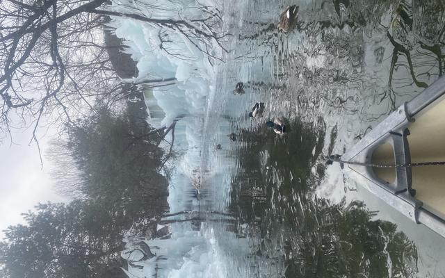 리뷰 대표 이미지