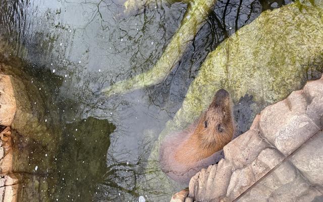 리뷰 대표 이미지