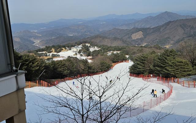 리뷰 대표 이미지