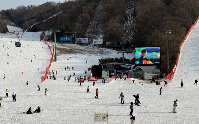 리뷰 대표 이미지