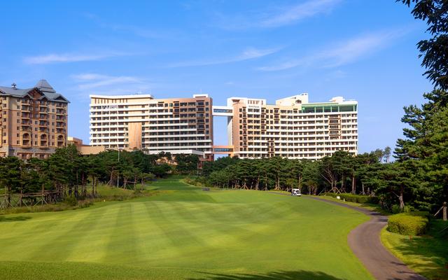 소노펠리체 델피노